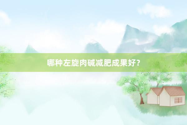 哪种左旋肉碱减肥成果好?