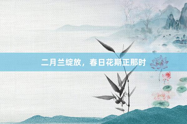 二月兰绽放，春日花期正那时