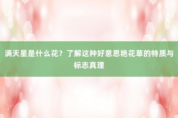 满天星是什么花？了解这种好意思艳花草的特质与标志真理