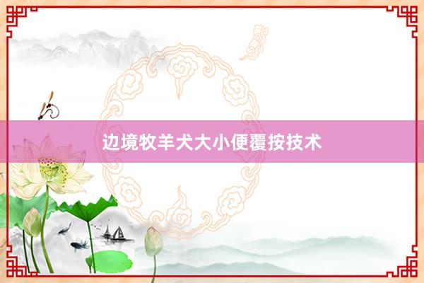 边境牧羊犬大小便覆按技术