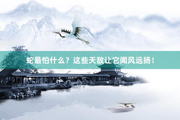 蛇最怕什么？这些天敌让它闻风远扬！